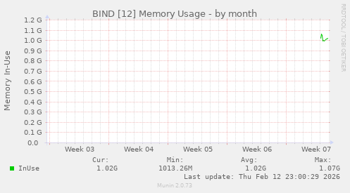 BIND [12] Memory Usage